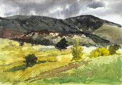 Cwm Pennant North Wales Watercolour Landscape by Tony Herbert 1974