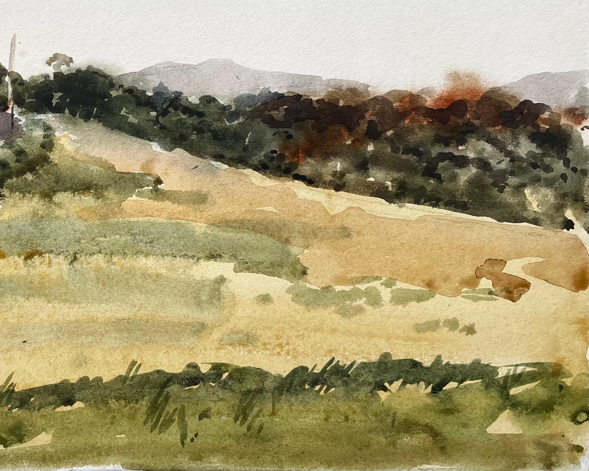 Titel: Walisische Straße und Hügellandschaft Sommerlandschaft Nordwales 1976 Aquarell
Von Tony Herbert (1927-2024)
Medium: Aquarell auf Karton, ungerahmt
Größe: 10 Zoll (Höhe) x 14 Zoll (Breite)
Zustand: gut, mit einigen altersbedingten