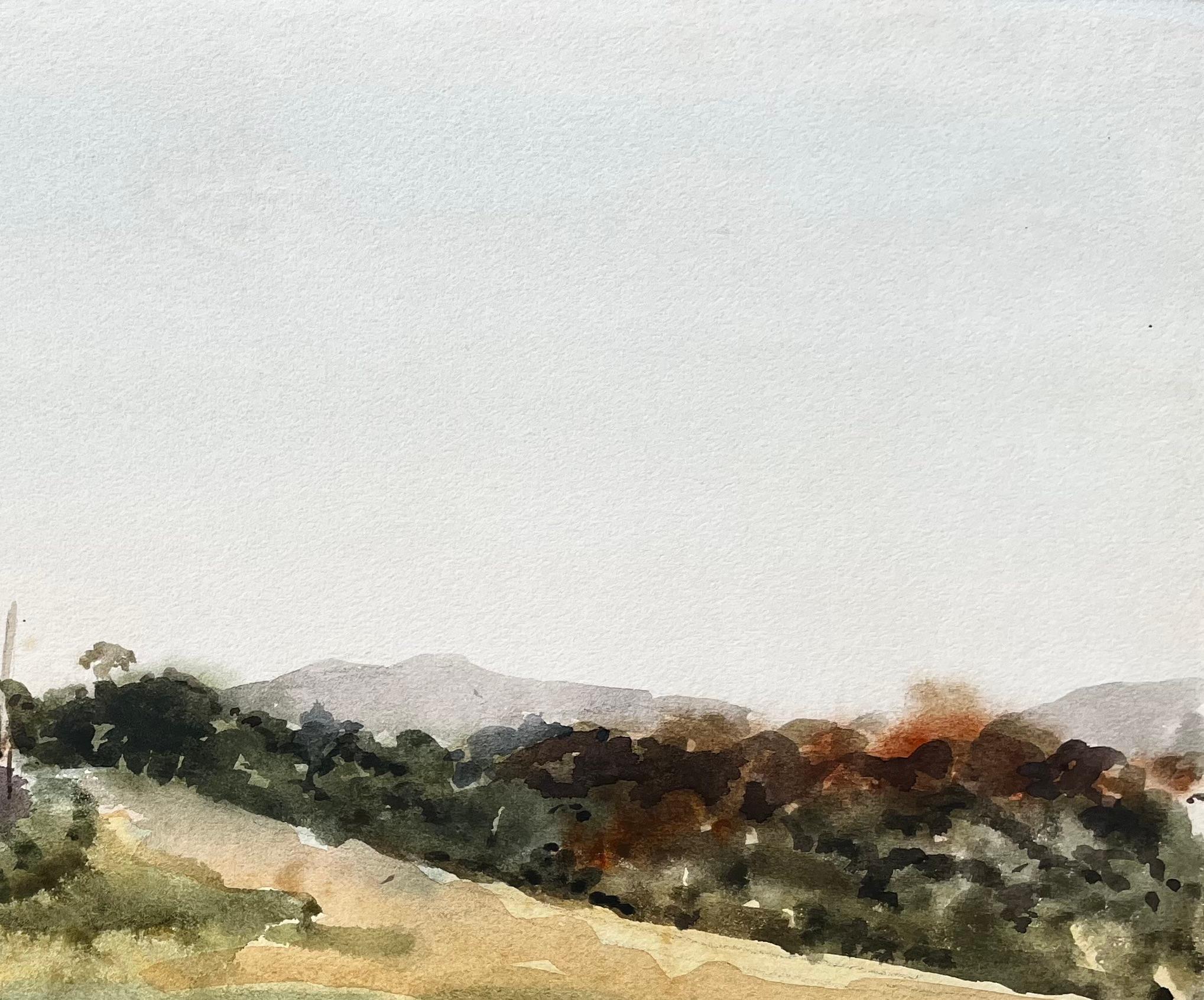 Walisische Straße und Hügellandschaft Sommerlandschaft Nordwales 1976 Aquarell im Angebot 1
