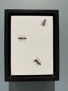 “The Creative Mind” hyperrealist oil painting of ants crawling, small, framed