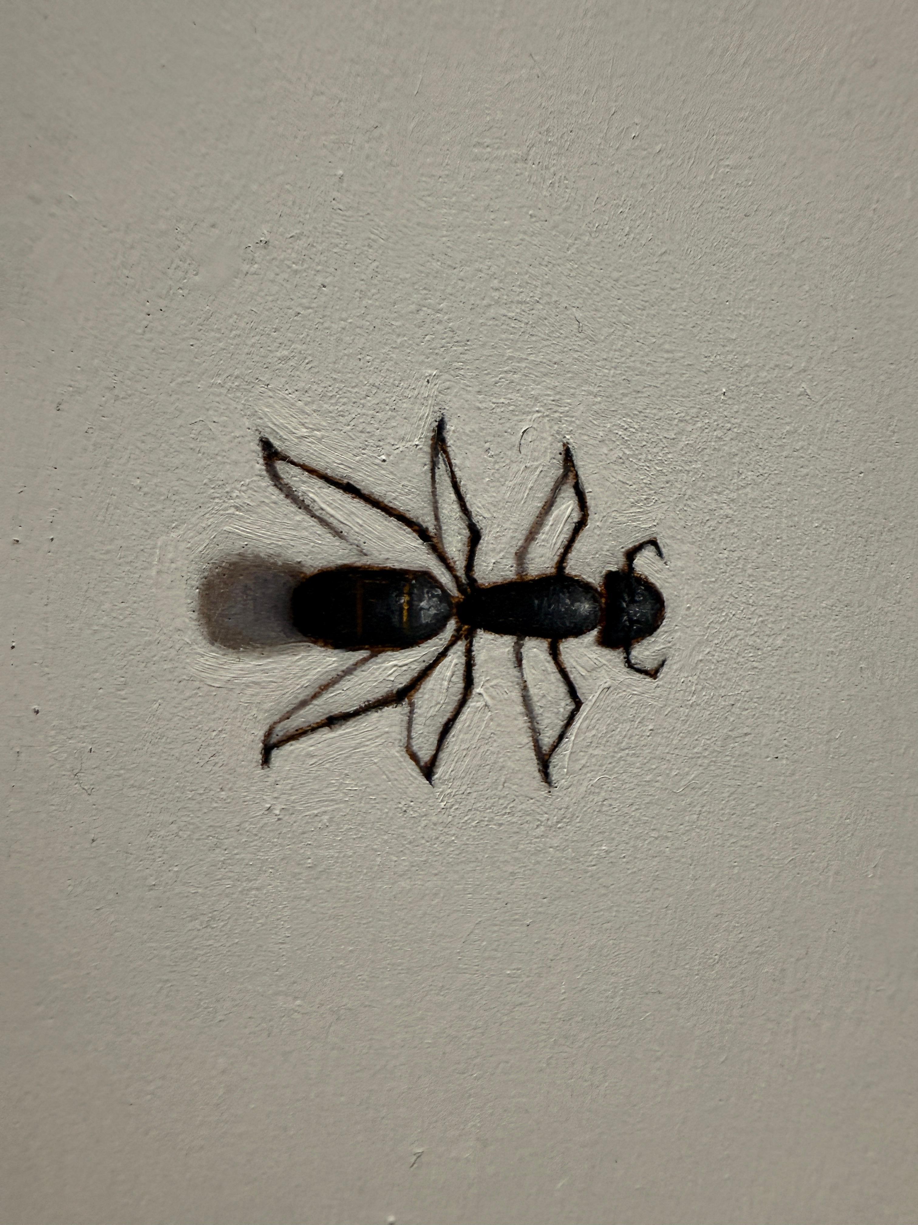 Ein kleines Ölgemälde von Anthony Mastromatteo. Drei Zimmermannsameisen sind realistisch gemalt, so dass es scheint, als würden echte Insekten auf dem Bild krabbeln. Der humorvolle und clevere Witz des Künstlers macht sich immer wieder über sein