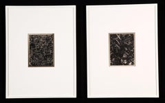 Untitled (Solarization Diptych)