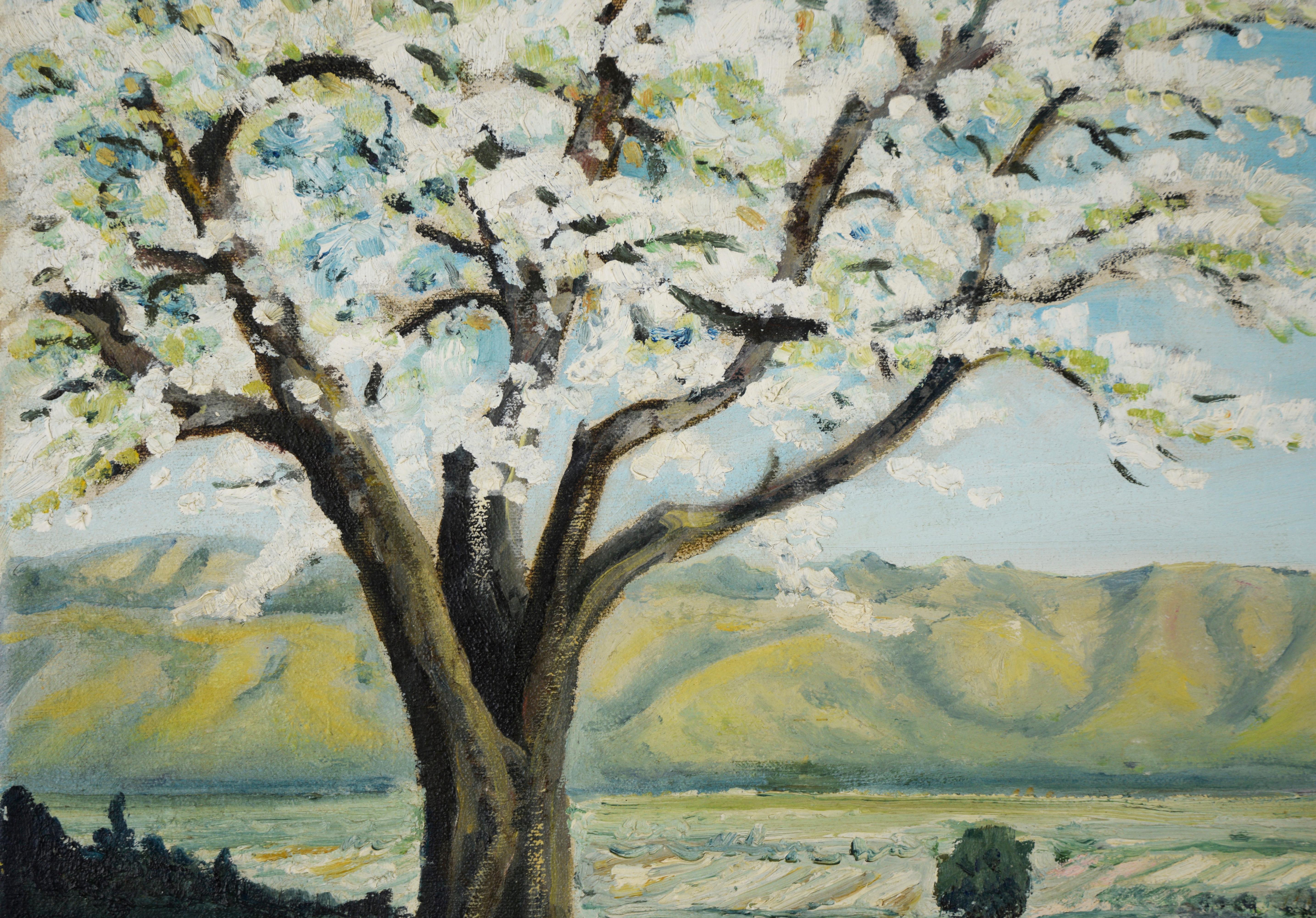 Mid Century Oil Landscape of Santa Clara Valley Before Silicon Valley

1947 Original oil painting depicting a landscape of Santa Clara Valley orchards, prior to the Silicon Valley boom, when prune and apricot orchards covered the valley by Anthony