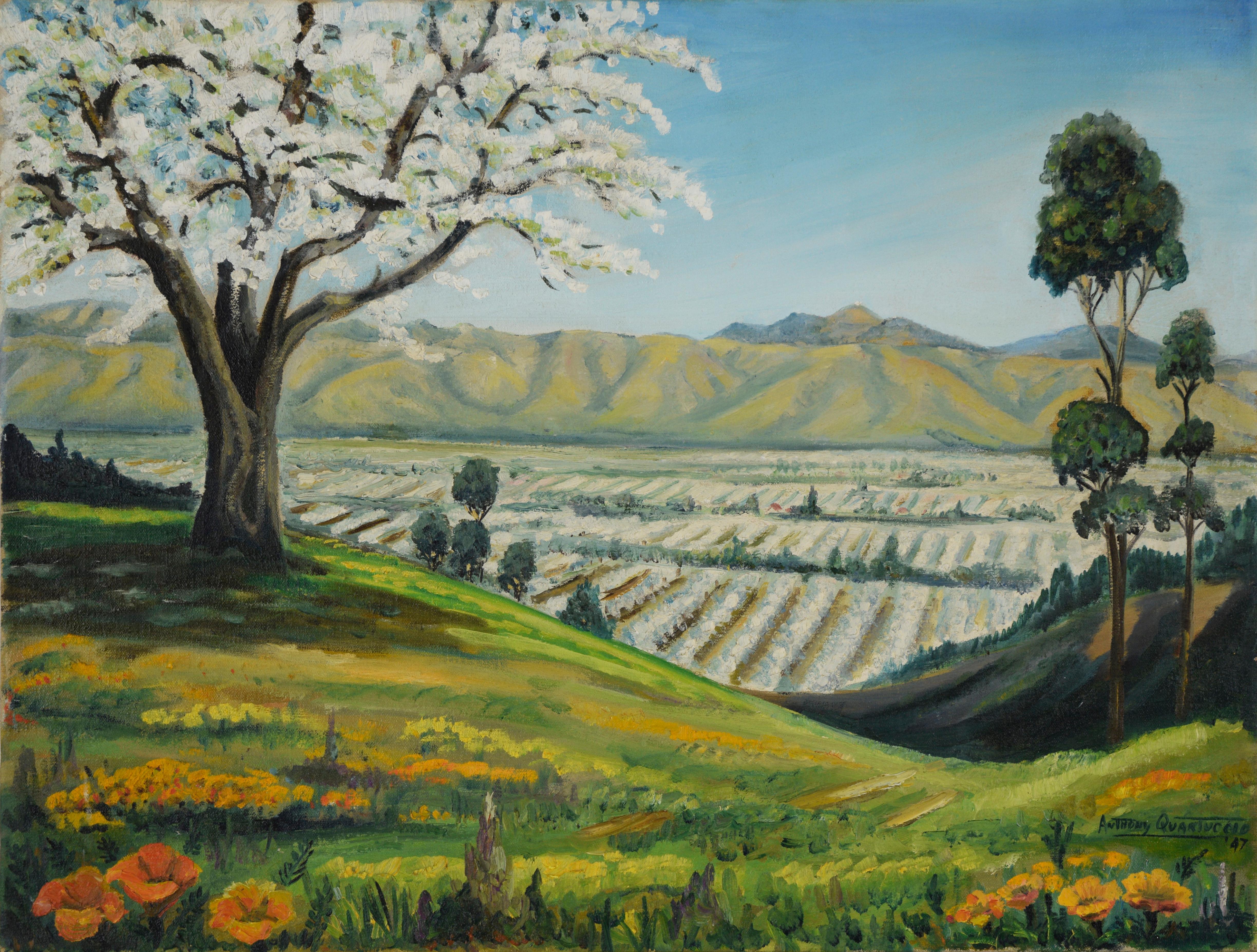 Öl-Landschaft des Santa Clara Valley vor dem Silicon Valley, Mitte des Jahrhunderts