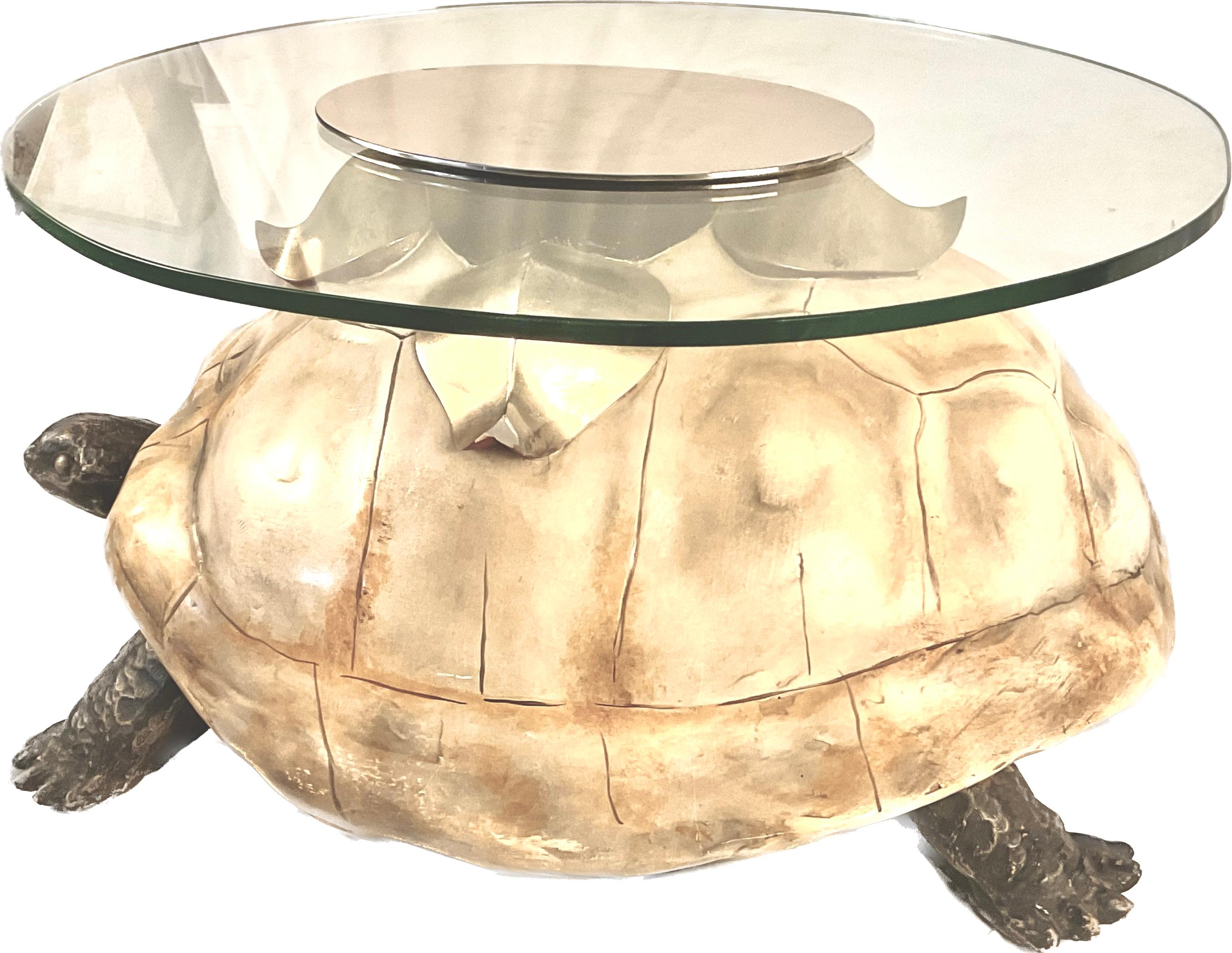 composition about tortoise