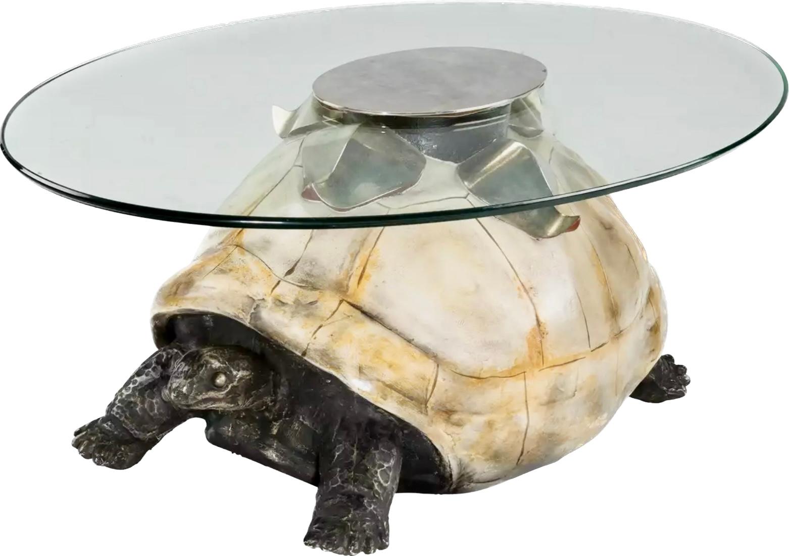 composition about a tortoise