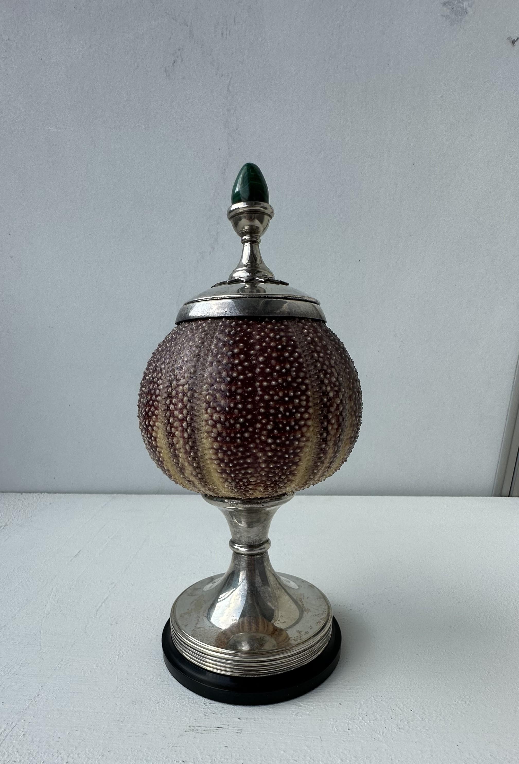 Sea Urchin shell with on silver plate and malacite detail.