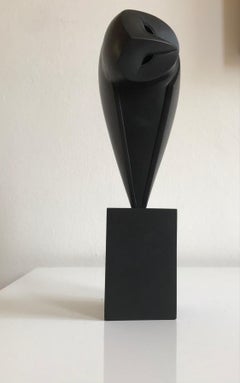 Zeitgenssische Bronzeskulptur 20-20, Portrt einer schwarzen Eule, Vogel