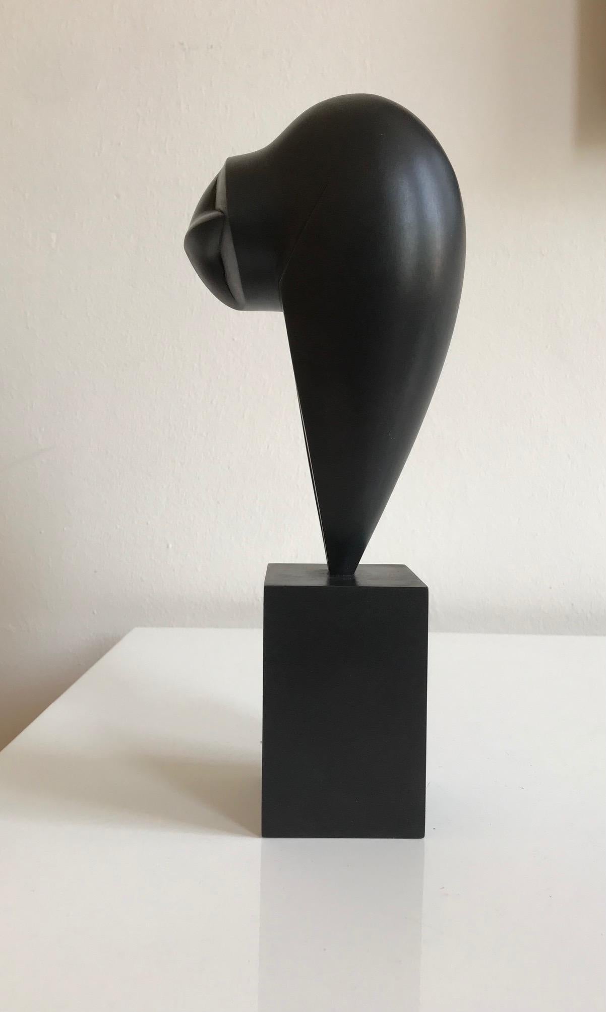 British sculptor Anthony Theakston (1965), who draws his inspiration from the shape and movement of birds, simplifies the birds and omits more and more details until only the essence of the animal remains. The stylized birds are reduced to a