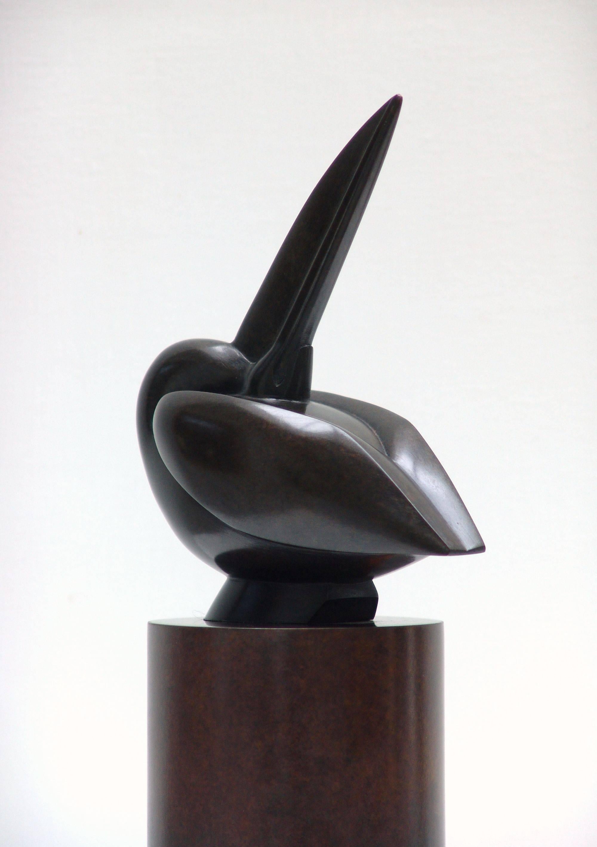 Anthony Theakston Figurative Sculpture - "Little Pelican" Contemporary Bronze Sculpture Portrait of a Pelican, Bird