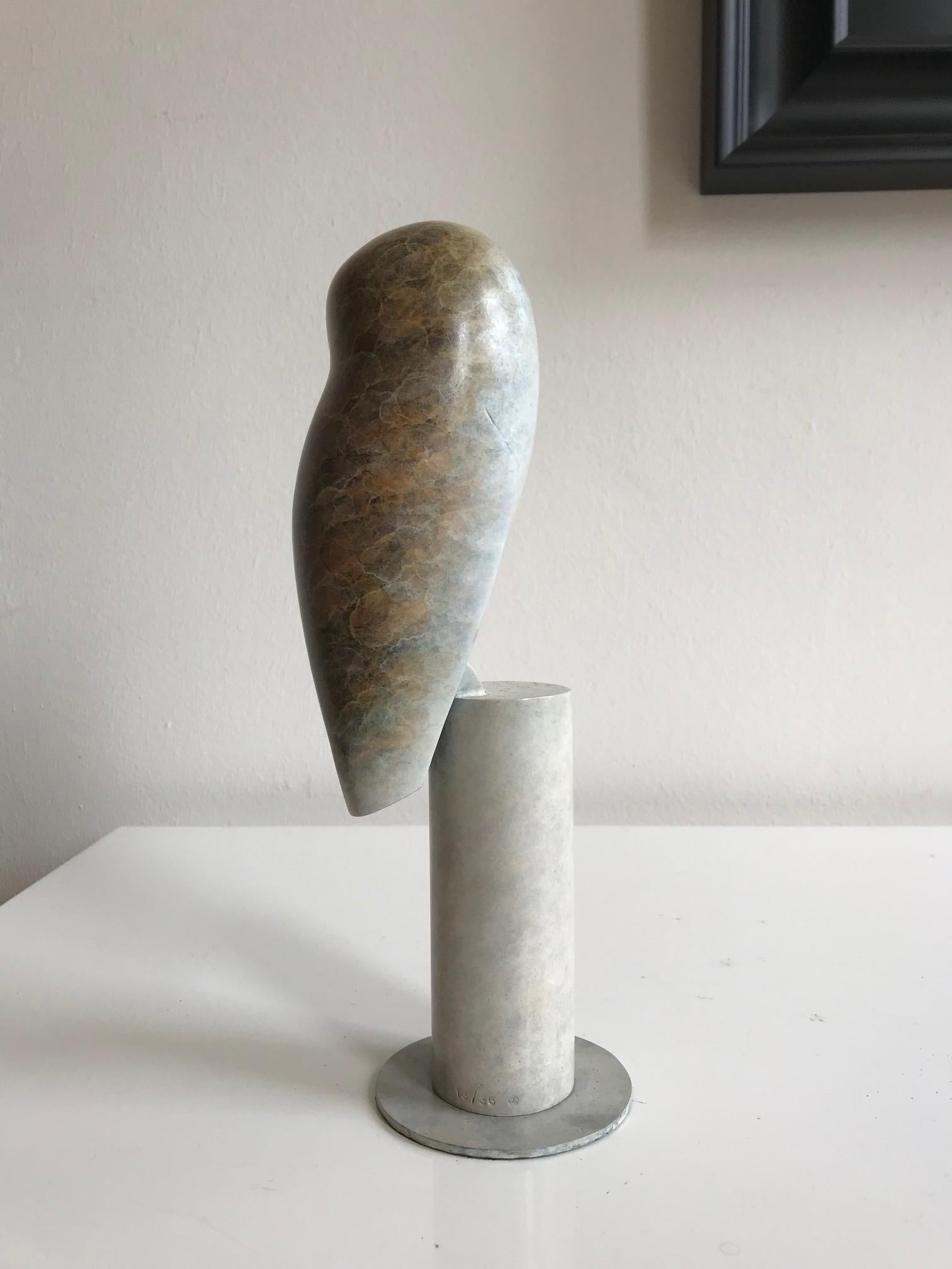 British sculptor Anthony Theakston (1965), who draws his inspiration from the shape and movement of birds, simplifies the birds and omits more and more details until only the essence of the animal remains. The stylized birds are reduced to a