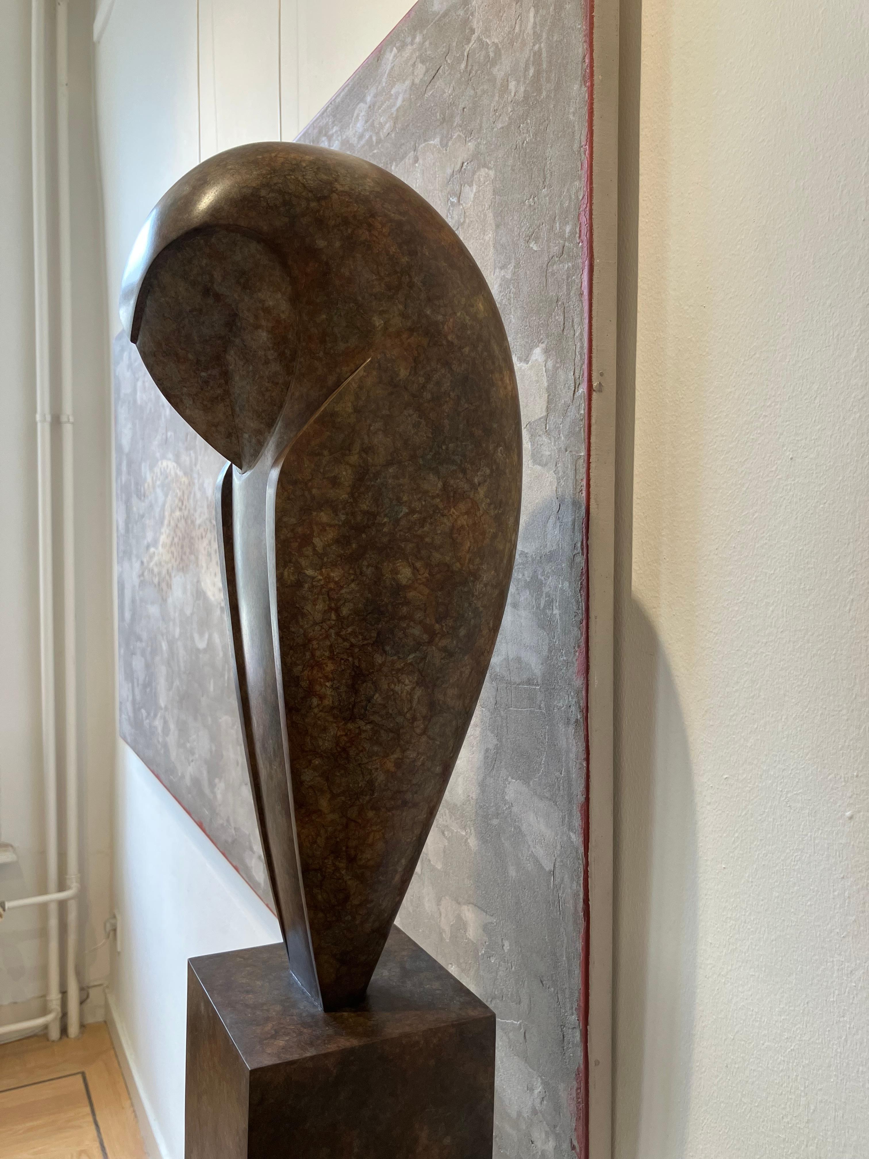 Sculpture contemporaine en bronze ''Serenity'' Portrait d'un hibou, chouette effraie brune en vente 7