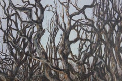 Snowy Winter Landscape