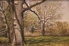 Field naturaliste avec paysage d'arbres
