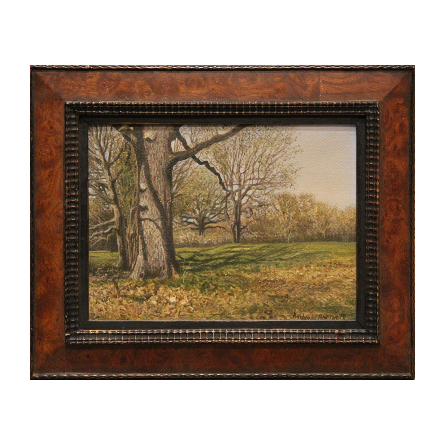 Naturalistic Field with Trees Landscape 