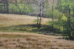 Peinture de paysage naturaliste texan avec arbres