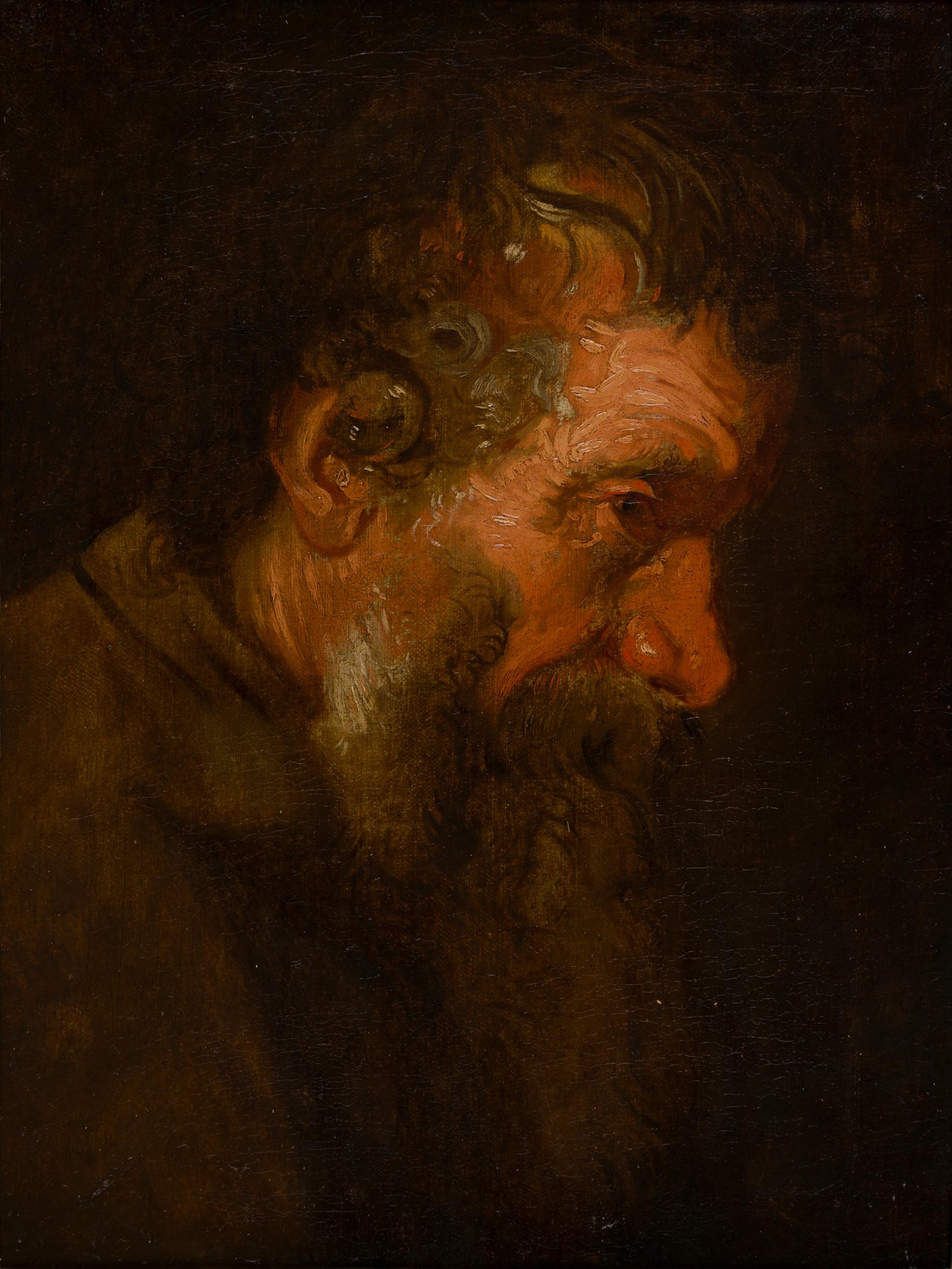 Study of a Bearded Man's Head - Painting by Anthony Van Dyck