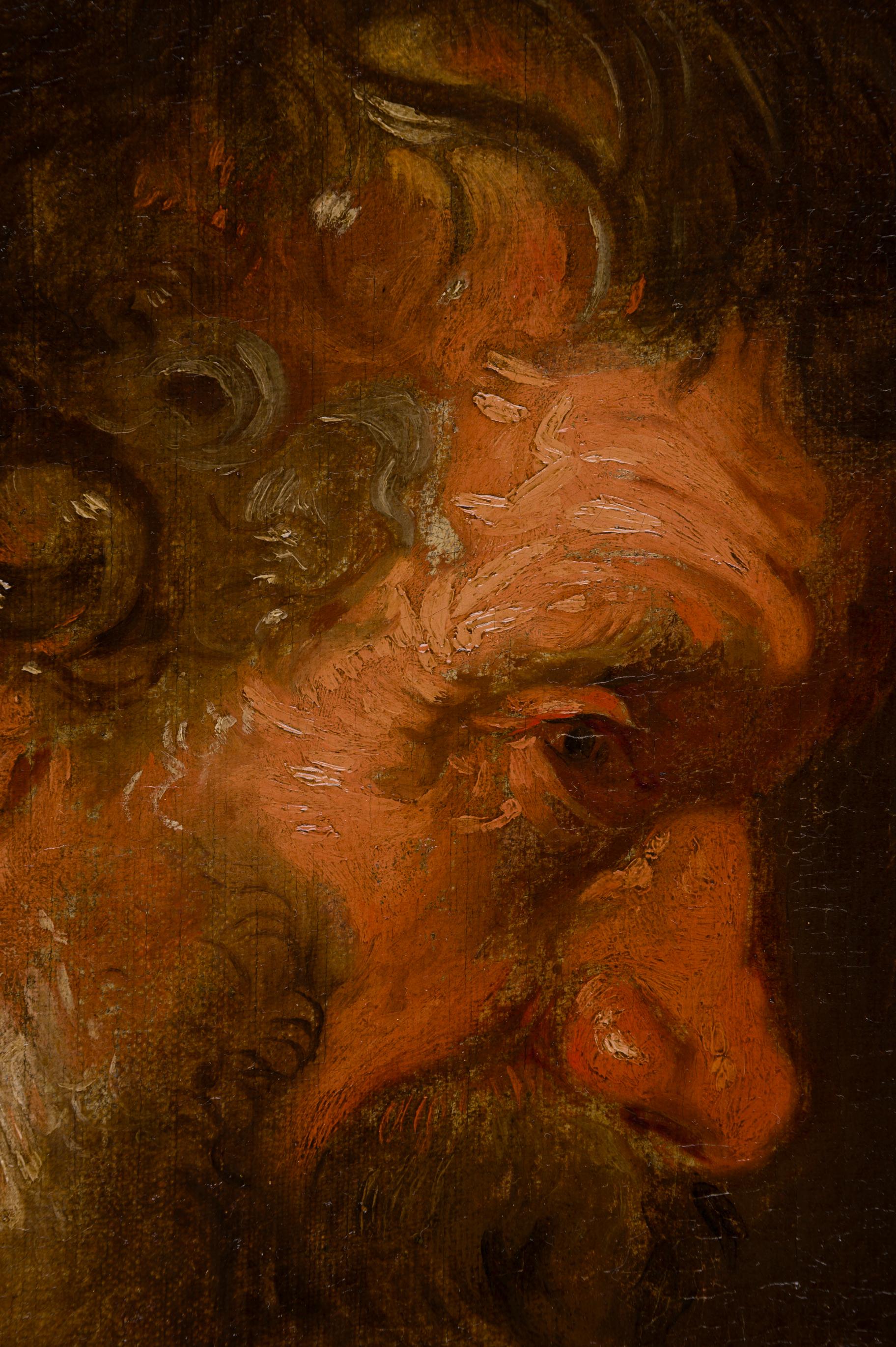 Study of a Bearded Man's Head - Old Masters Painting by Anthony Van Dyck