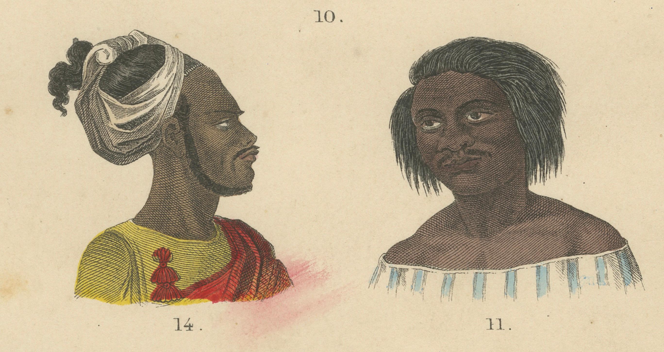 Antropología y comparación de cráneos Impresión de T Bromme, 1865 Atlas etnográfico

Esta litografía original coloreada a mano del siglo XIX procede de uno de los atlas etnográficos recopilados por el geógrafo y editor alemán Traugott Bromme, muy