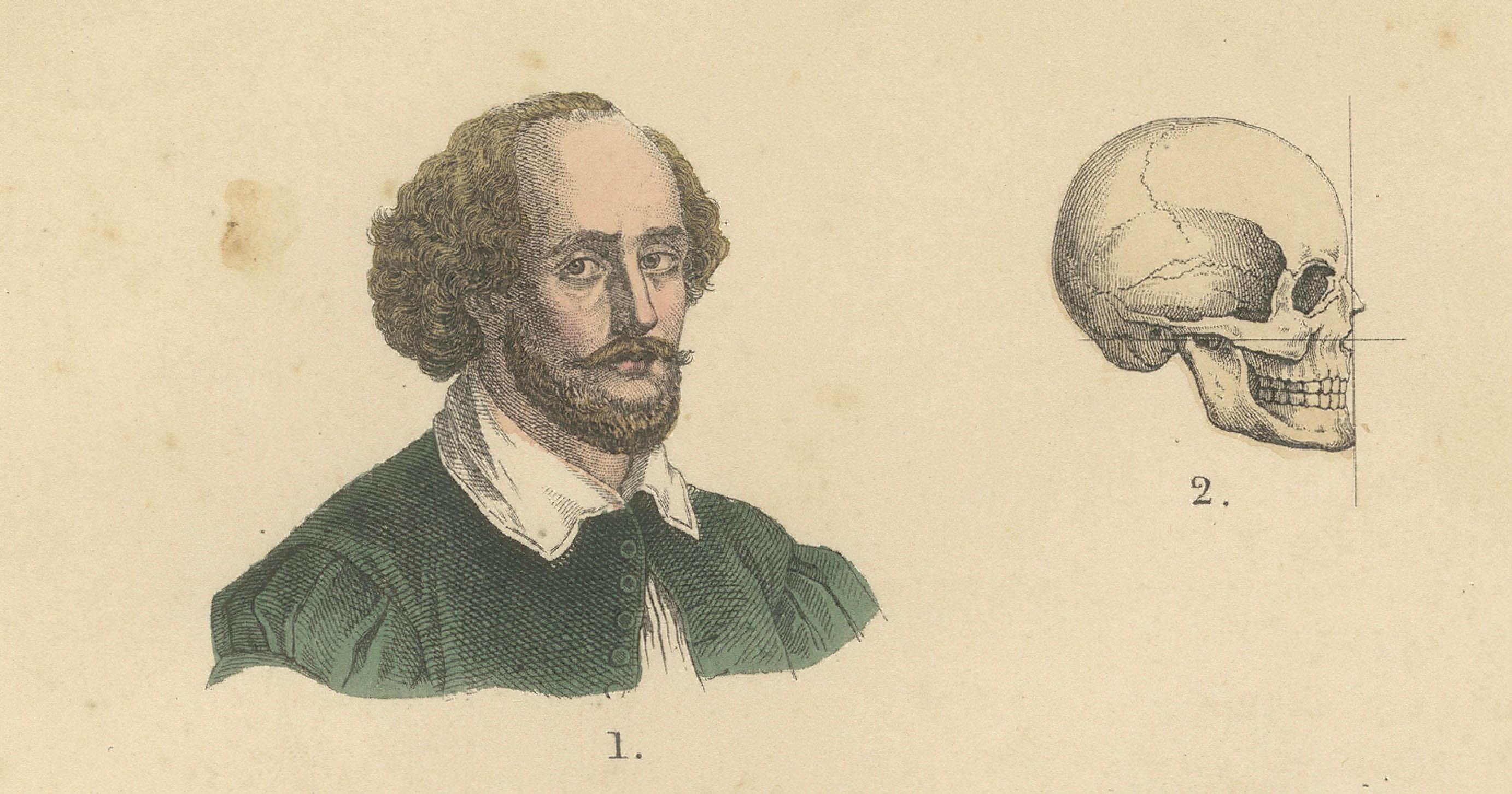 Antropología y comparación de cráneos Impresión de T Bromme, 1865 Atlas etnográfico en venta 2