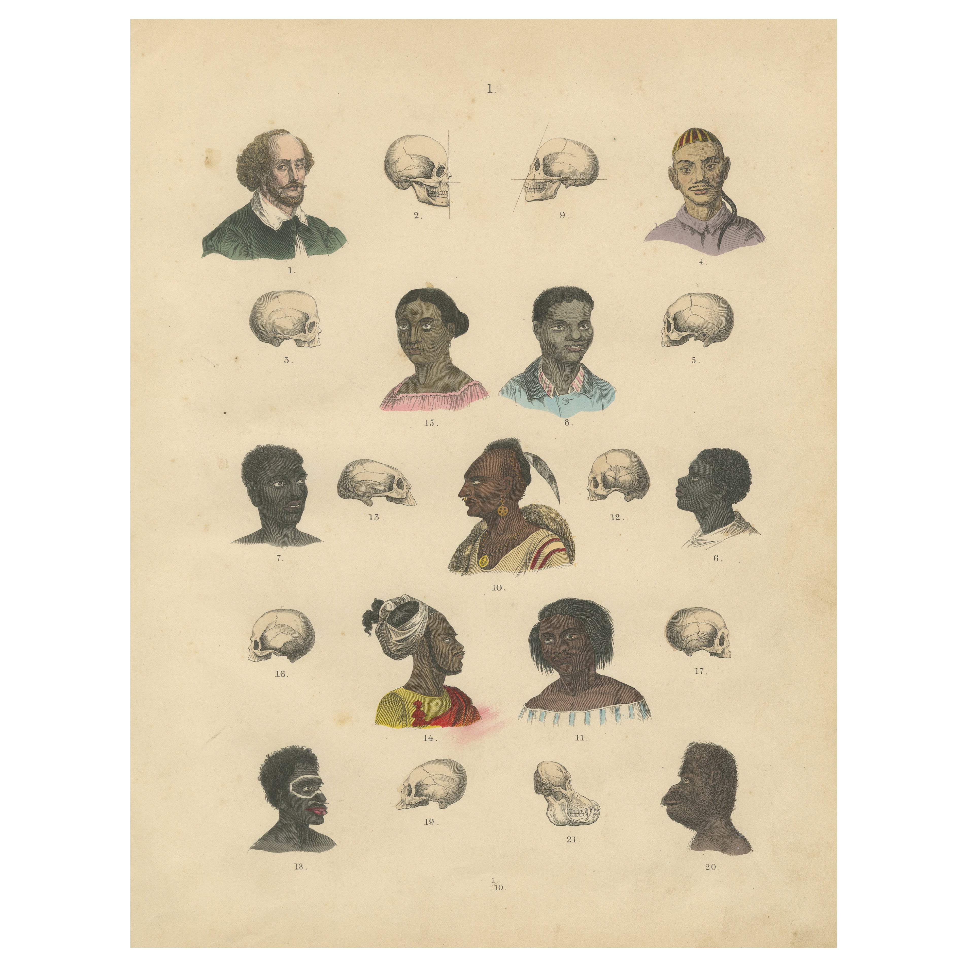 Anthropology and Skull Comparison Print by T Bromme, 1865 Ethnographic Atlas