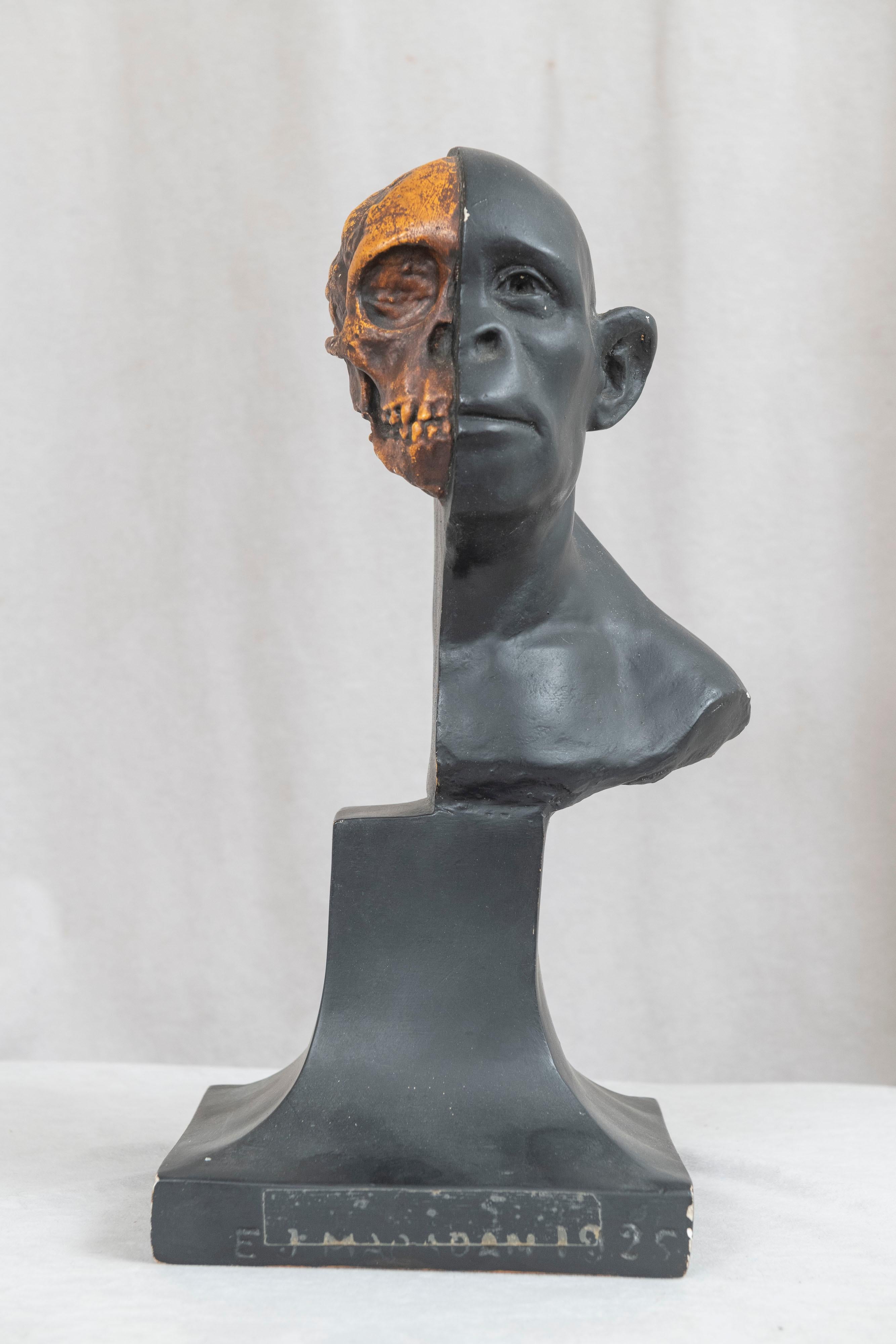 We are offering a unique opportunity to own 2 sculptures that came from the University of Philadelphia Museum. The anthropologic study of man sculpture is artist signed Elizabeth Jane Macadam. We have her information if you wish to learn about her.
