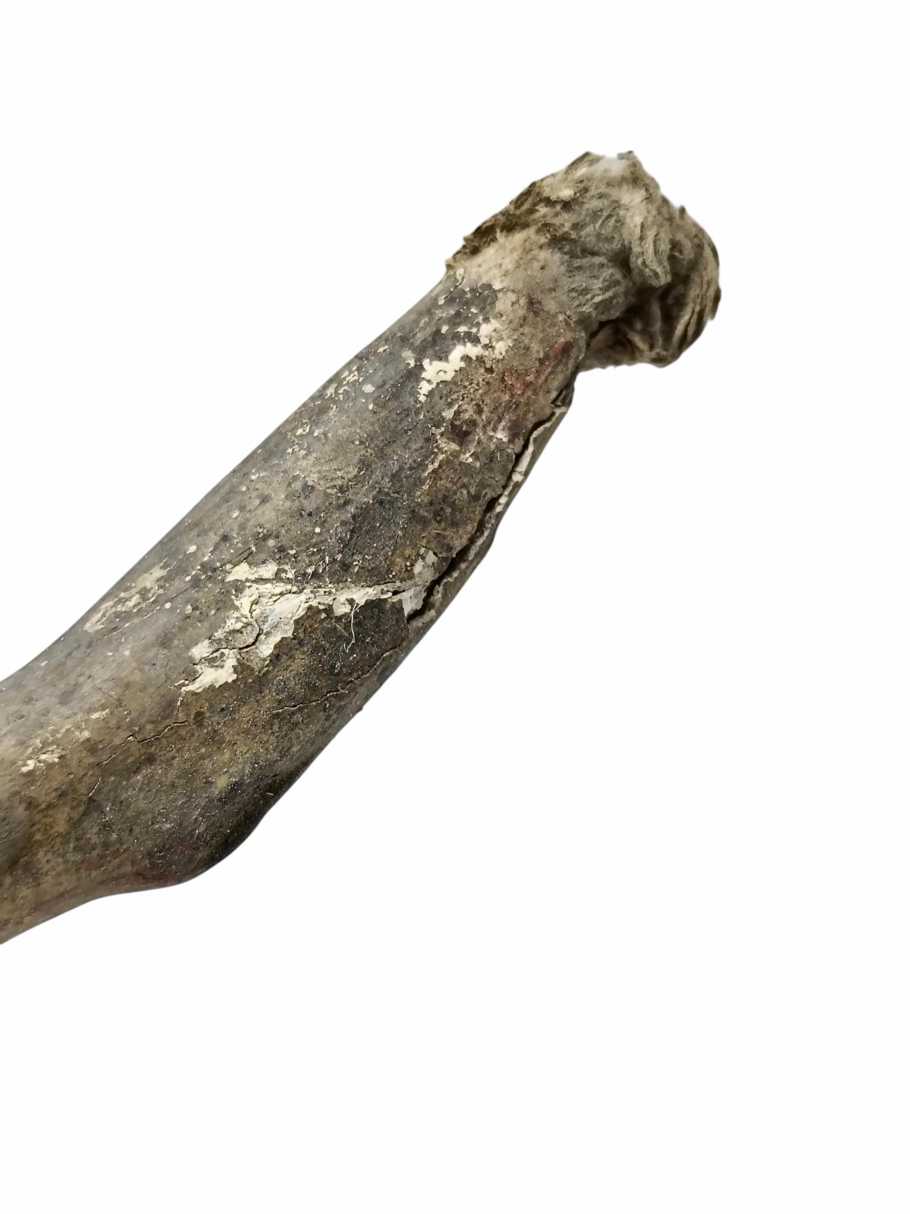 Antico Gesu' Crocifisso in Carta Pesta Policroma, Italia 18 secolo in vendita 3