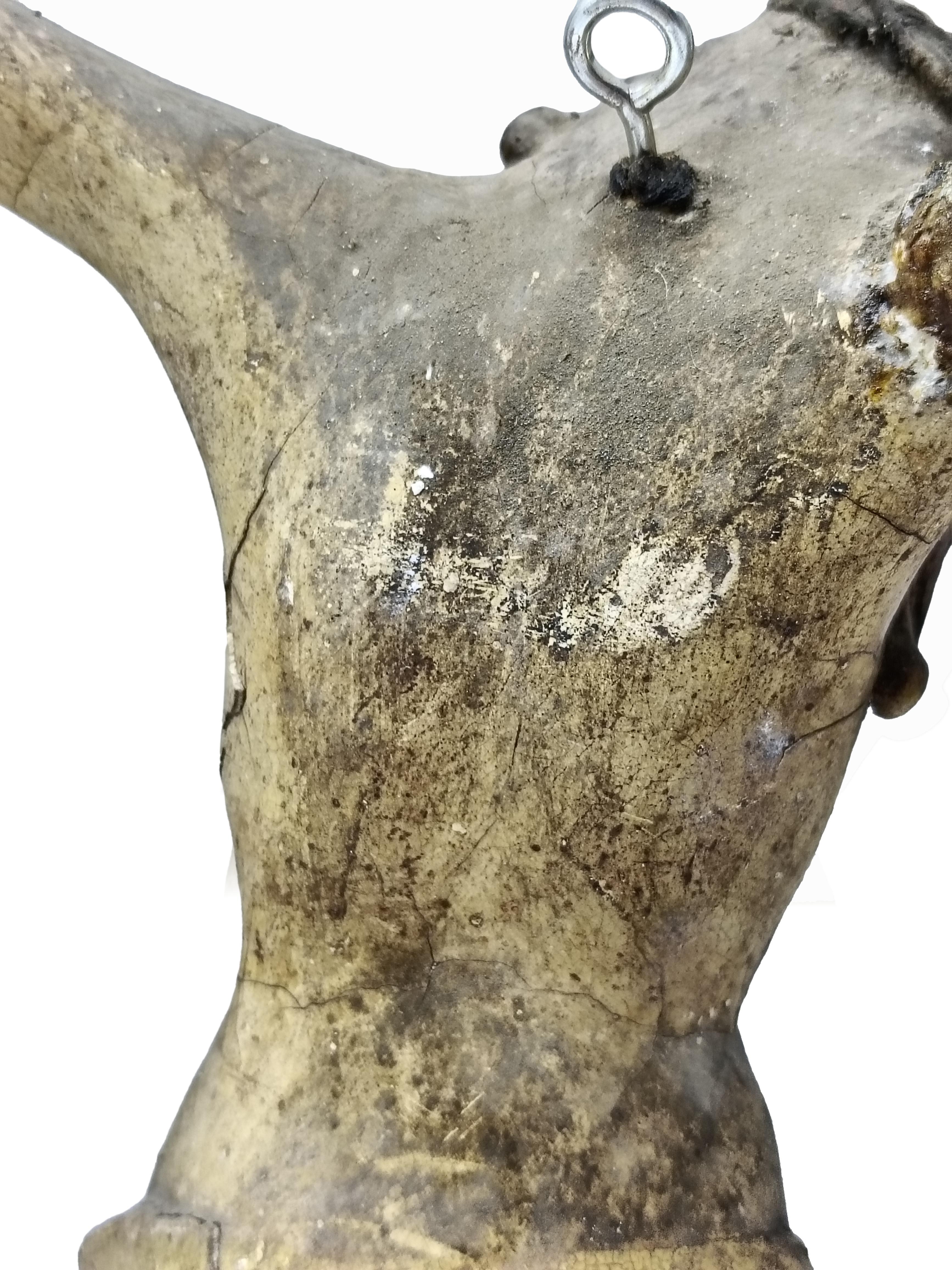 Antico Gesu' Crocifisso in Carta Pesta Policroma, Italia 18 secolo in vendita 4