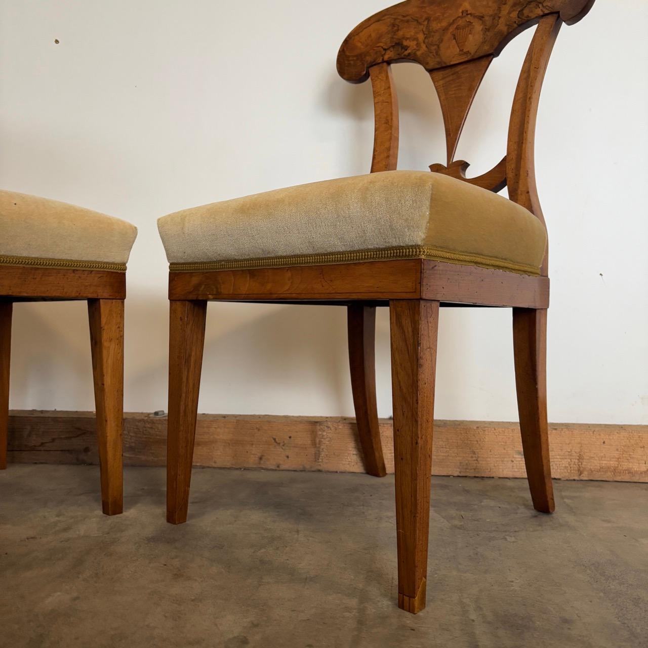 Antike Schaufelstühle Biedermeier um 1820 Wallnussholz 4 Stück im Angebot 12
