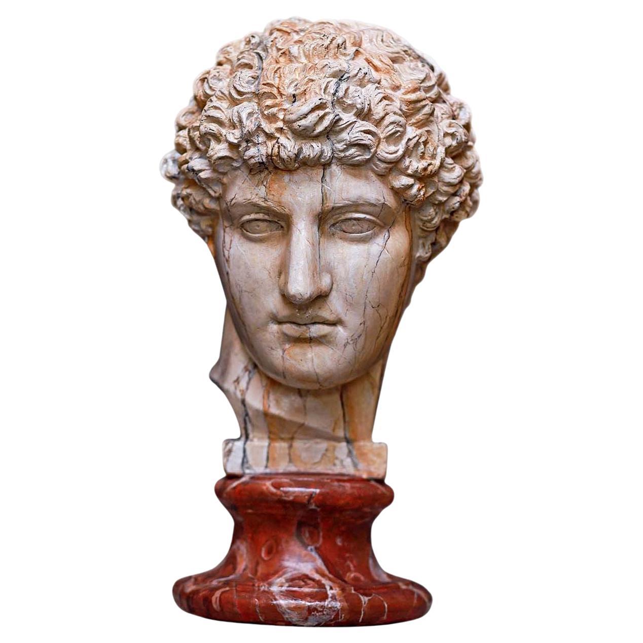 Antinoo Head Sculpture For Sale
