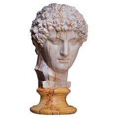 Sculpture de tête Antinoo