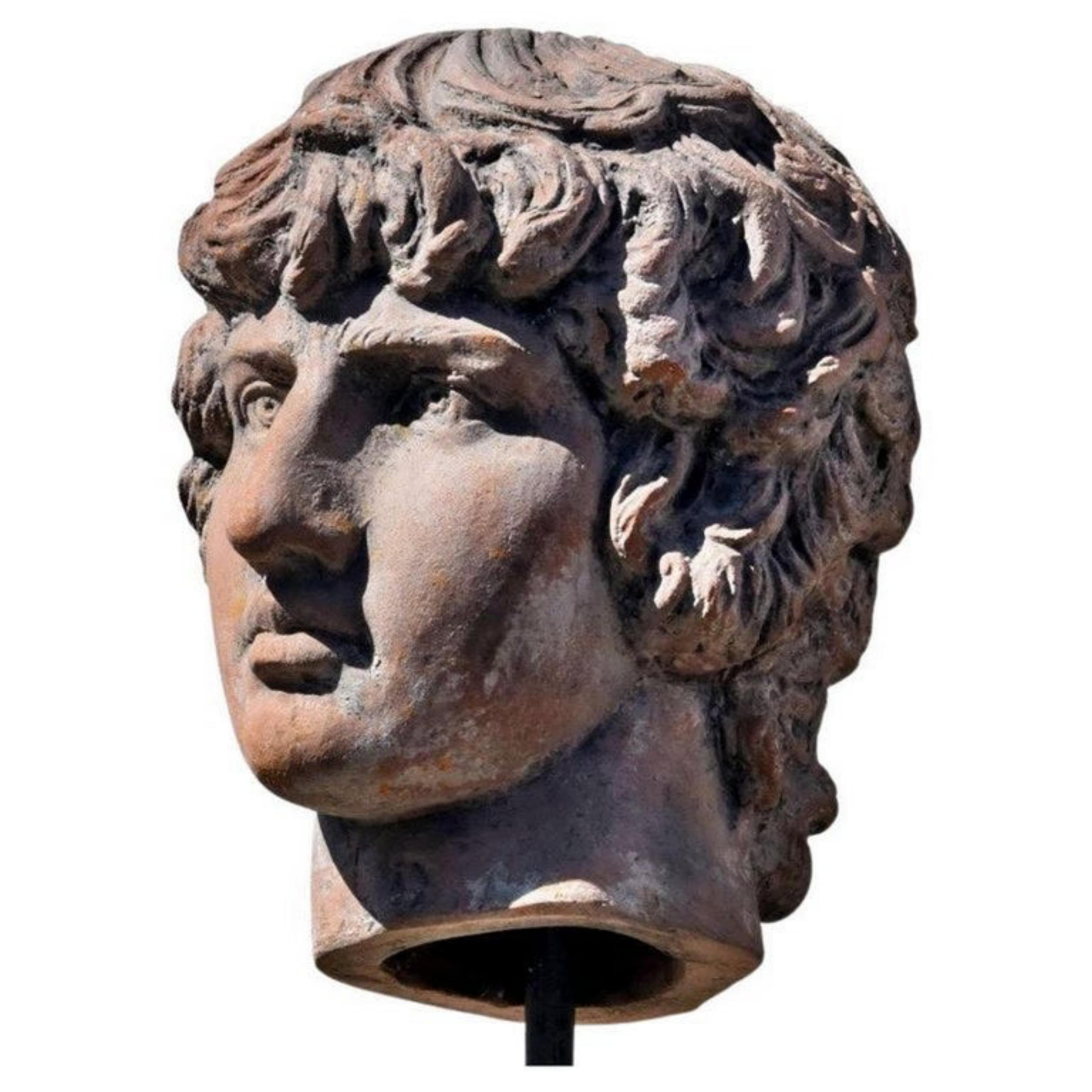 Antinoo with marble base.

Terracotta head with marble base.
Italy
Antinous (Bitnia 130 - Alexandria of Egypt 150 AD).
Publio's favorite Elio Adriano.

Mesaures: height 33 cm.
width 30 cm.
depth 28 cm.