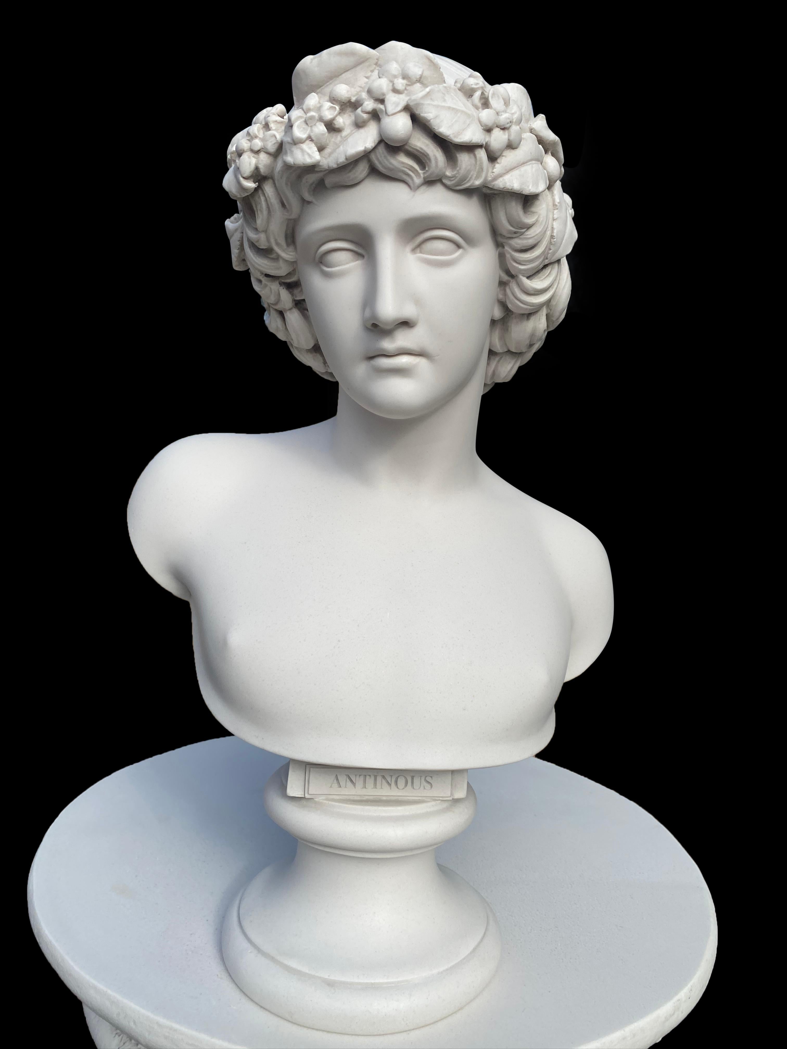 Antinoos Büste Skulptur - 20. Jahrhundert Classic Roman Style im Angebot 3