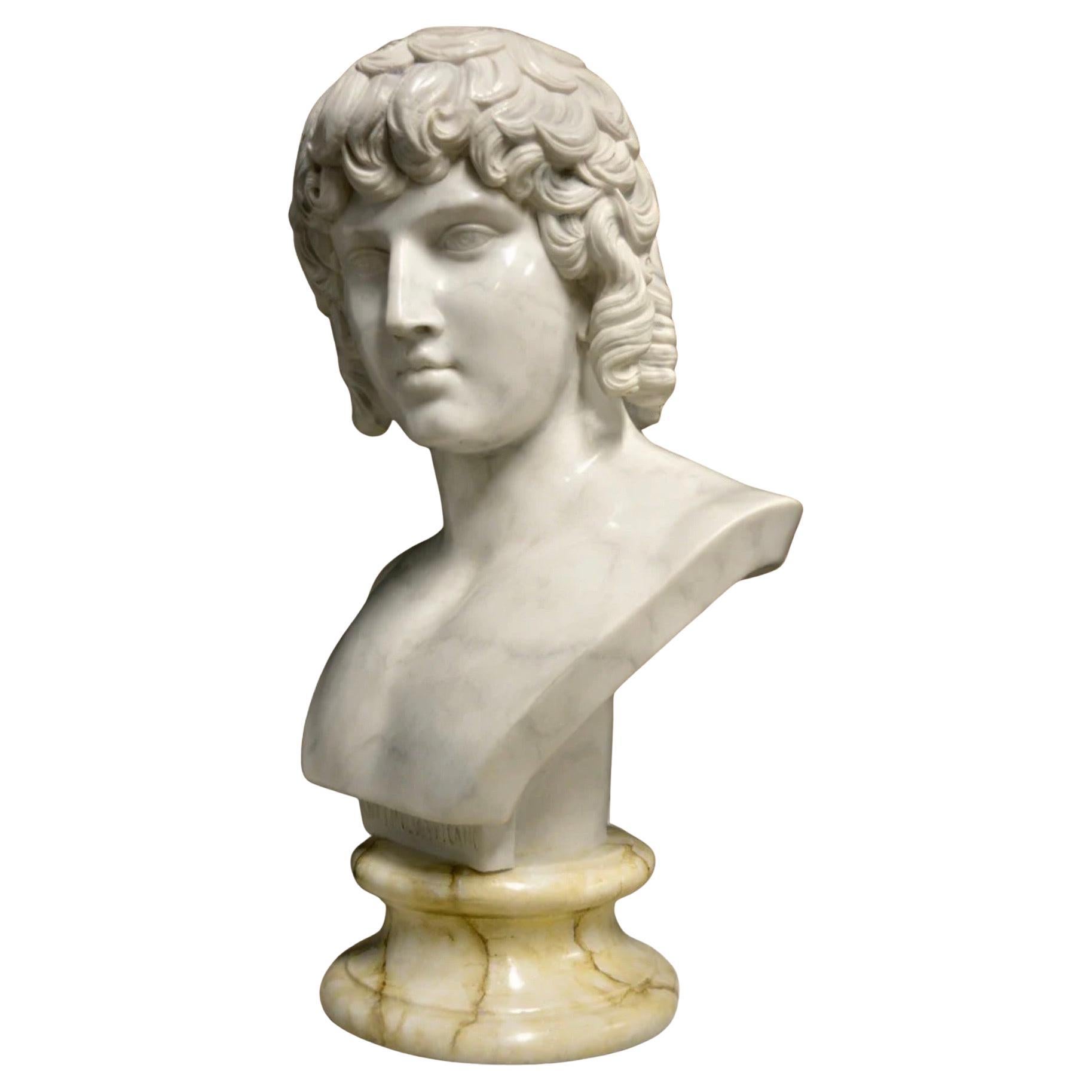 Antinous finemente rifinito, XX secolo