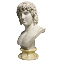 Antinous finemente rifinito, XX secolo