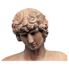 ANTINOUS OF THE MAN MUSEUM OF NAPLES 21th Century H: 79cm