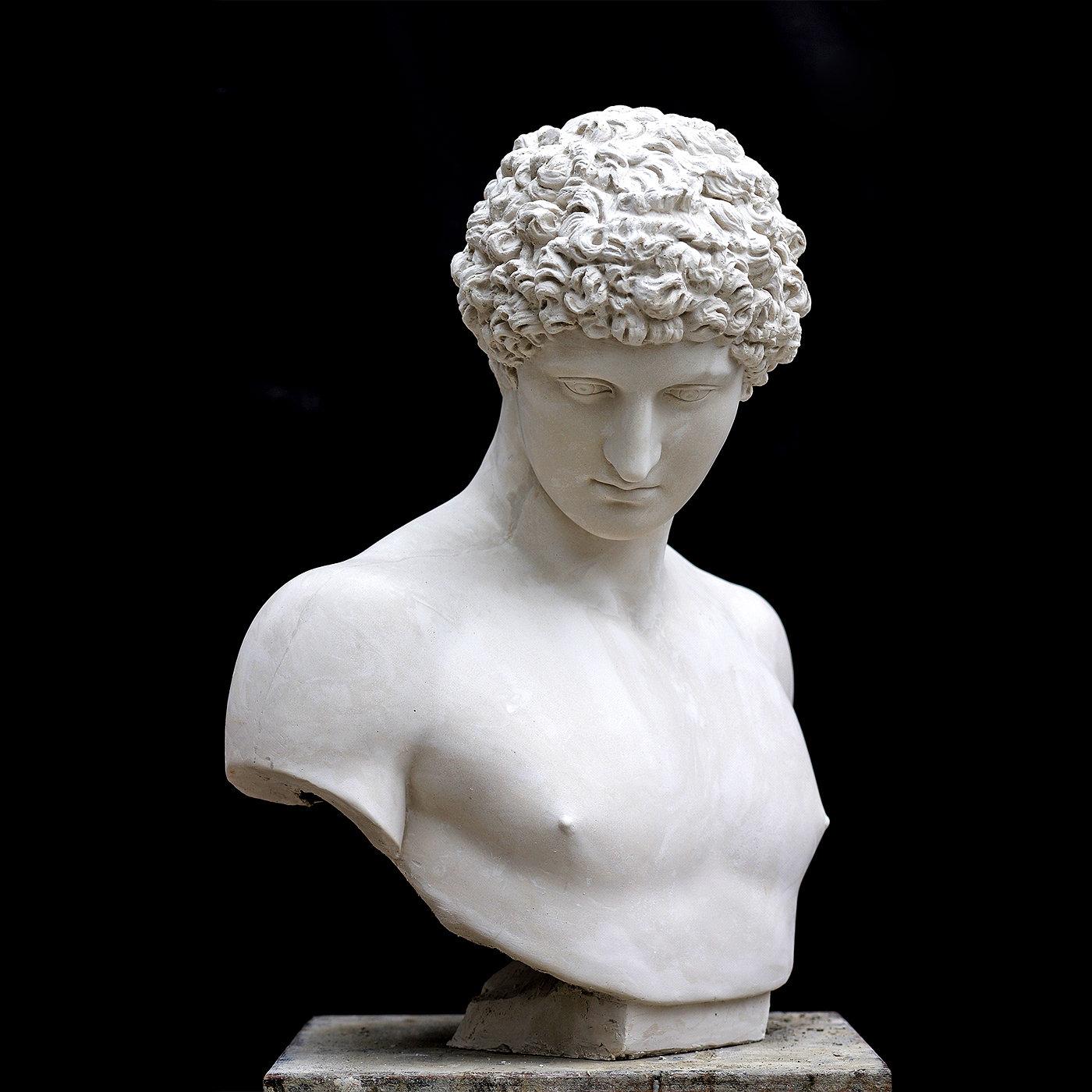 The elegant features of the young Antinous, a favorite of beloved Roman emperor Hadrian, are masterfully captured with exceptional richness in this plaster bust of the ancient Greek hero, a masterpiece created by the artisans of the Romanelli