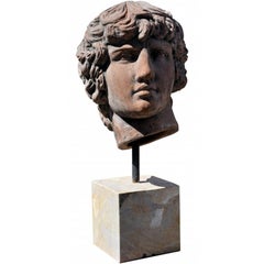 ANTINOUS TERRACOTTA HEAD, 20th Century