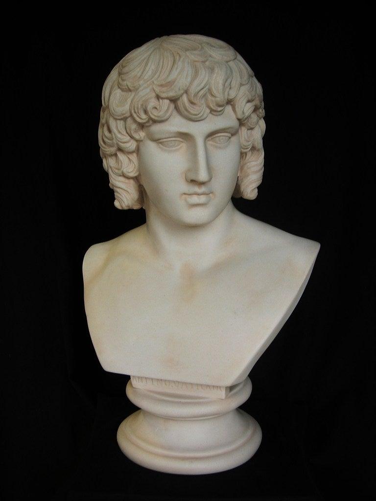 Antinous, a bust, after the antique, Vatican collection, Italy. (40 cm tall)

A fantastic interior design bust, a neoclassical master piece in marble, from Florence.

With an intelligence as dazzling as his beauty, Antinous captured the hearts