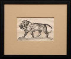 Antoine Louis-Barye "Walking Lion" Antique Engraving by Firmin Gillot ca. 1870 