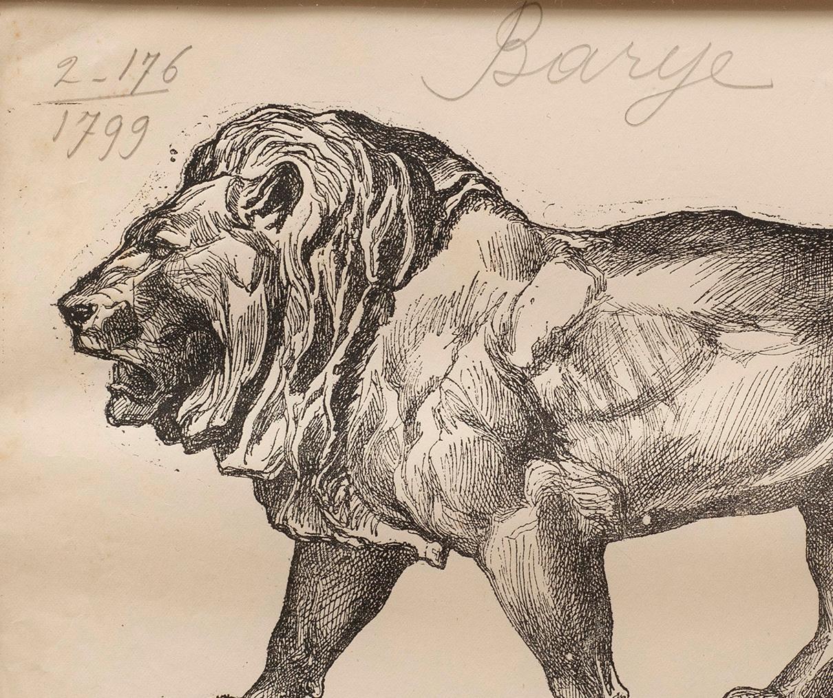lion engraving