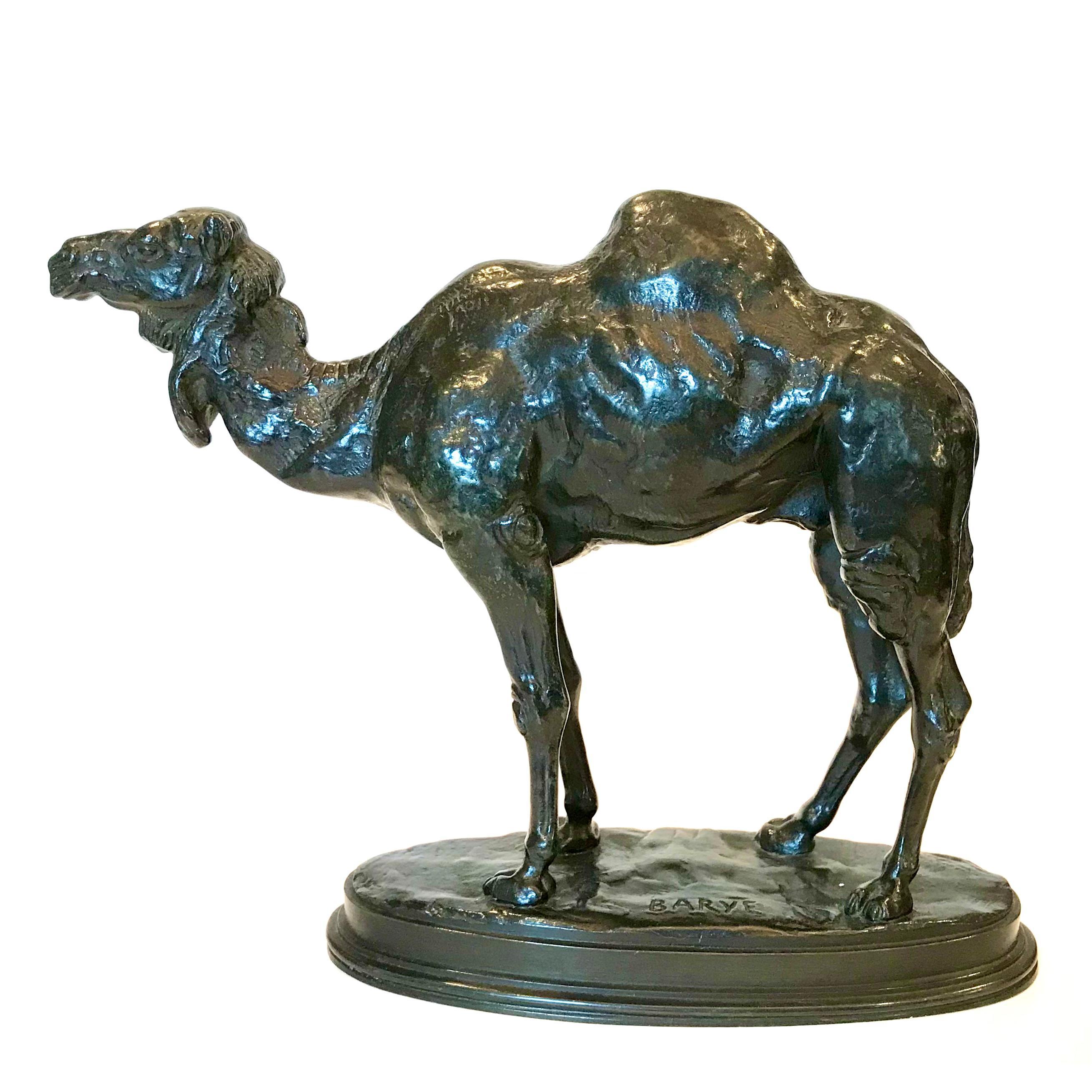 Antoine Louis Barye Dromadaire D’Algerie Camel - Sculpture by Antoine-Louis Barye
