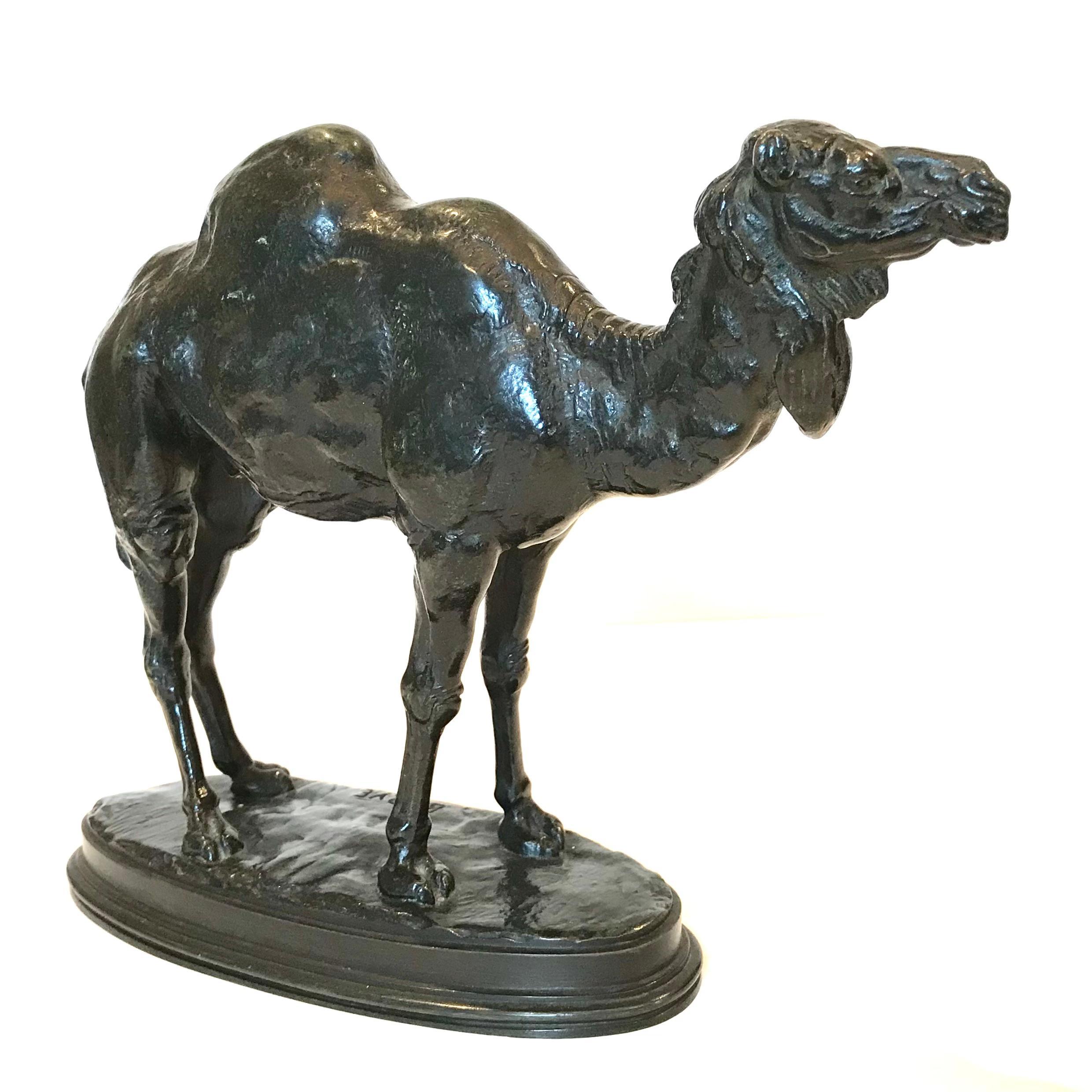 Antoine Louis Barye Dromadaire D’Algerie Camel For Sale 3