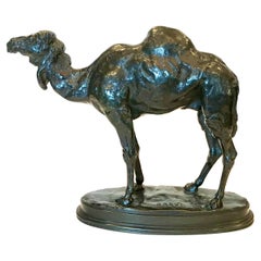 Antique Antoine Louis Barye Dromadaire D’Algerie Camel