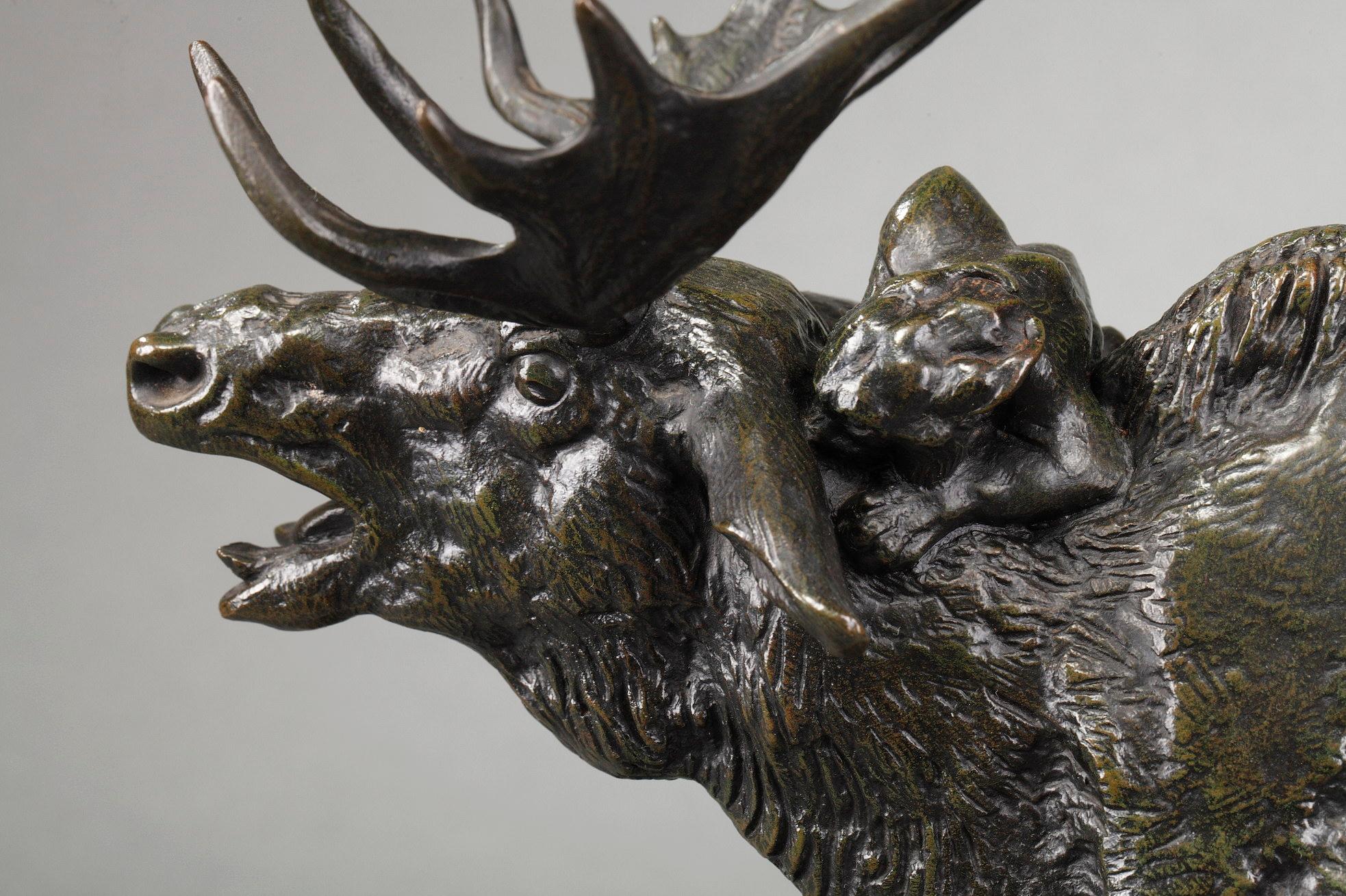 Elk surprised by a Lynx For Sale 5