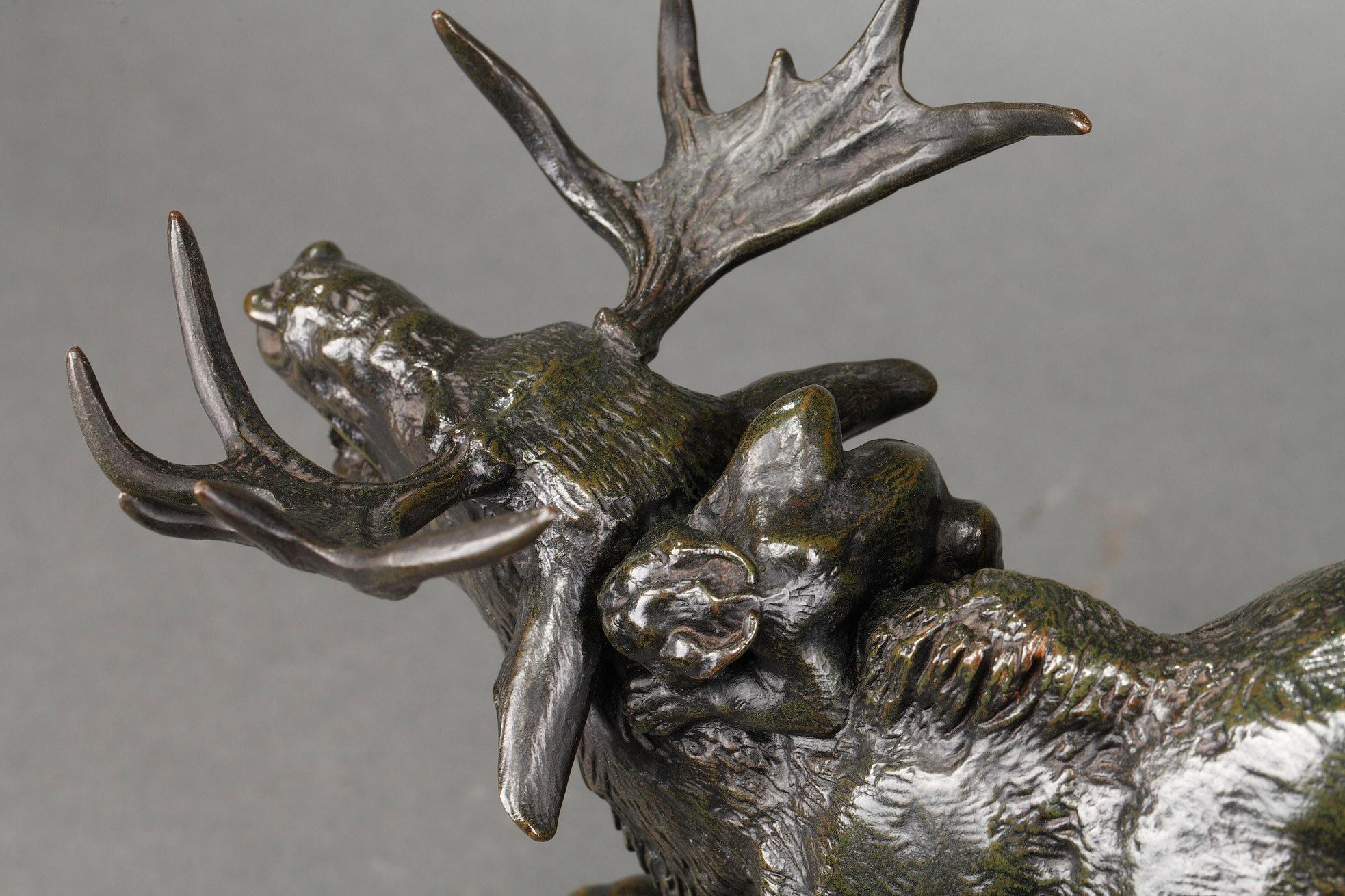 Elk surprised by a Lynx For Sale 6