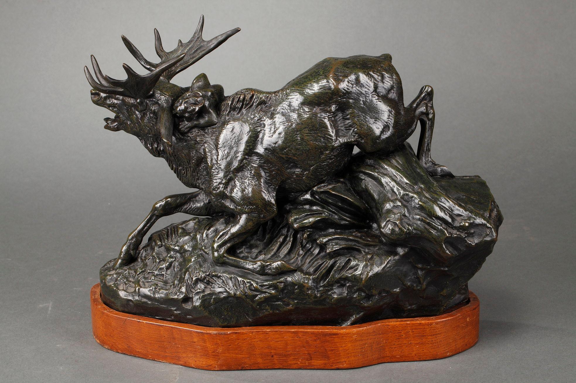 Elk surprised by a Lynx For Sale 7
