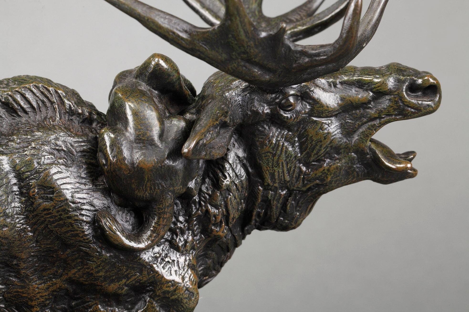 Elk surprised by a Lynx For Sale 10
