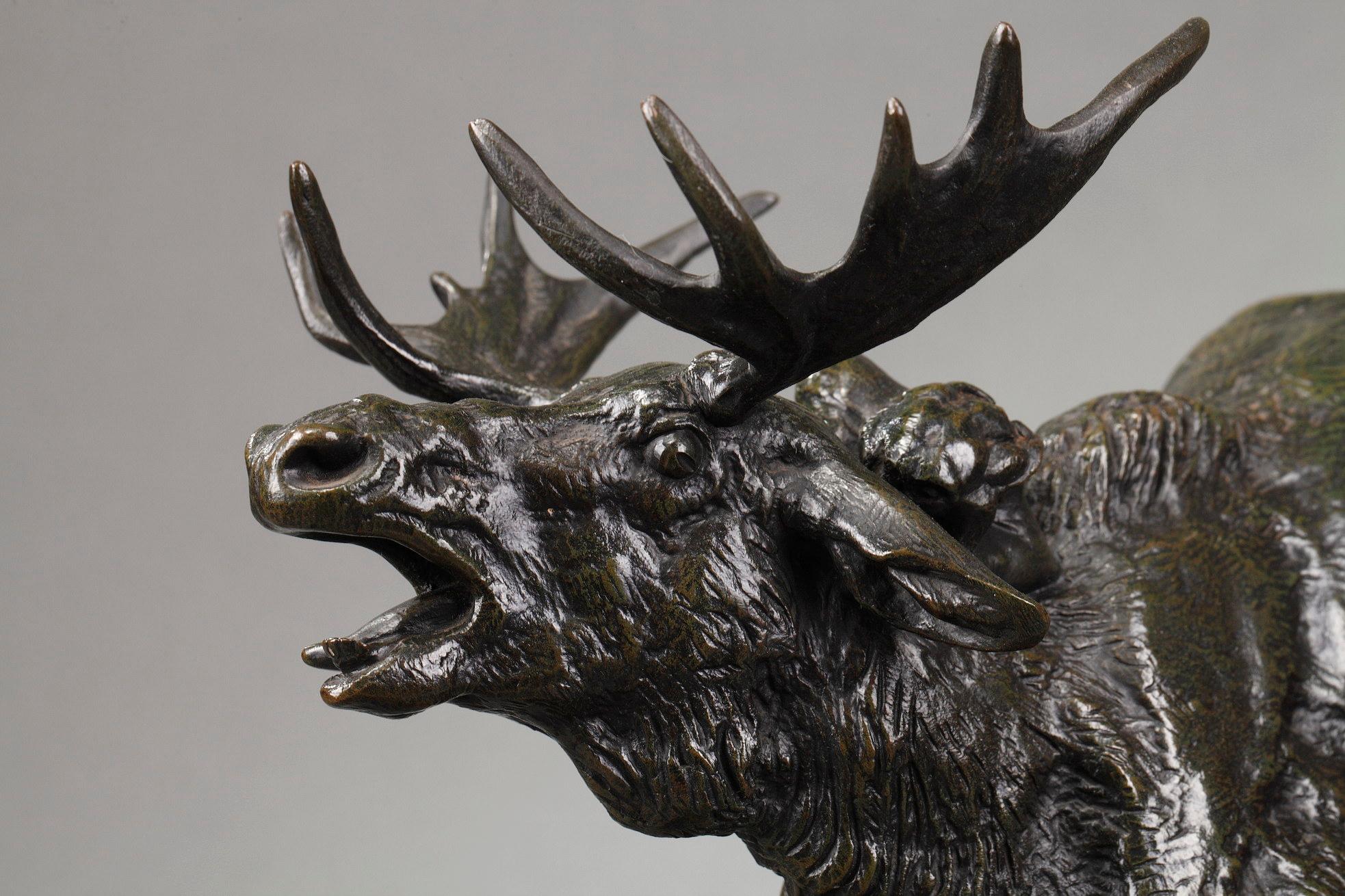 Elk surprised by a Lynx For Sale 1