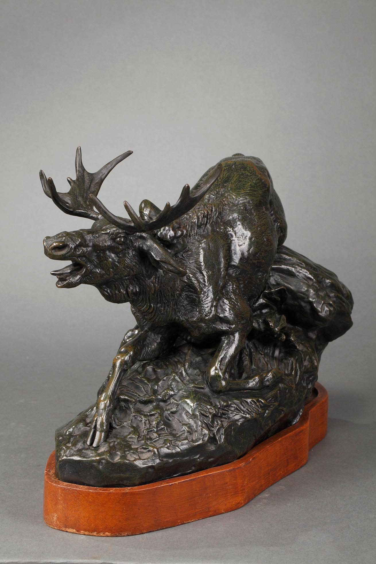 Elk surprised by a Lynx For Sale 2
